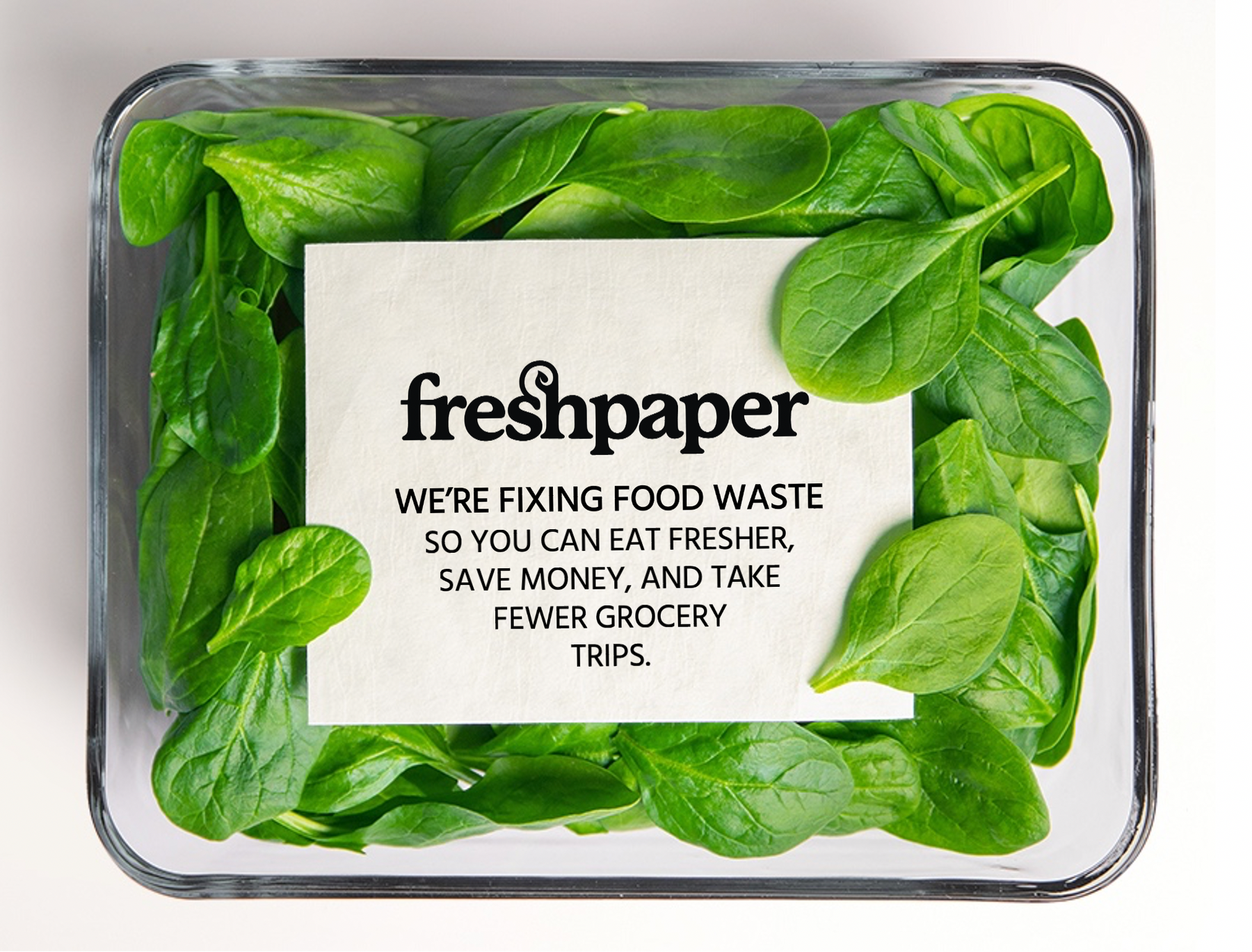 FreshPaper Cheese-Saver Wraps